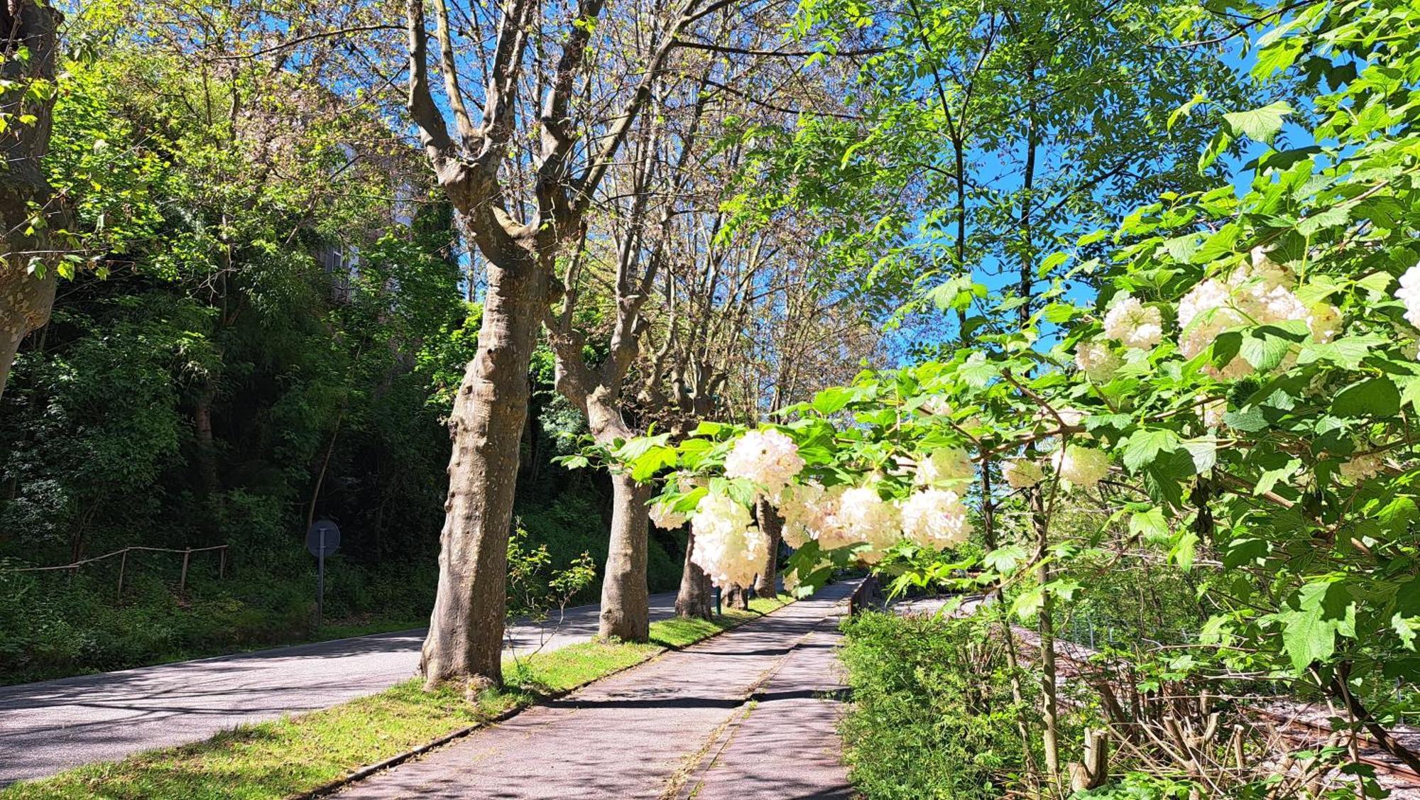 Du Doubs Au Doux Villa Ламастр Екстериор снимка